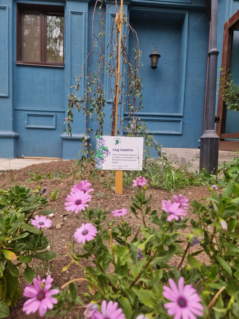 20230711_155916.jpg 20230711_155916.jpg